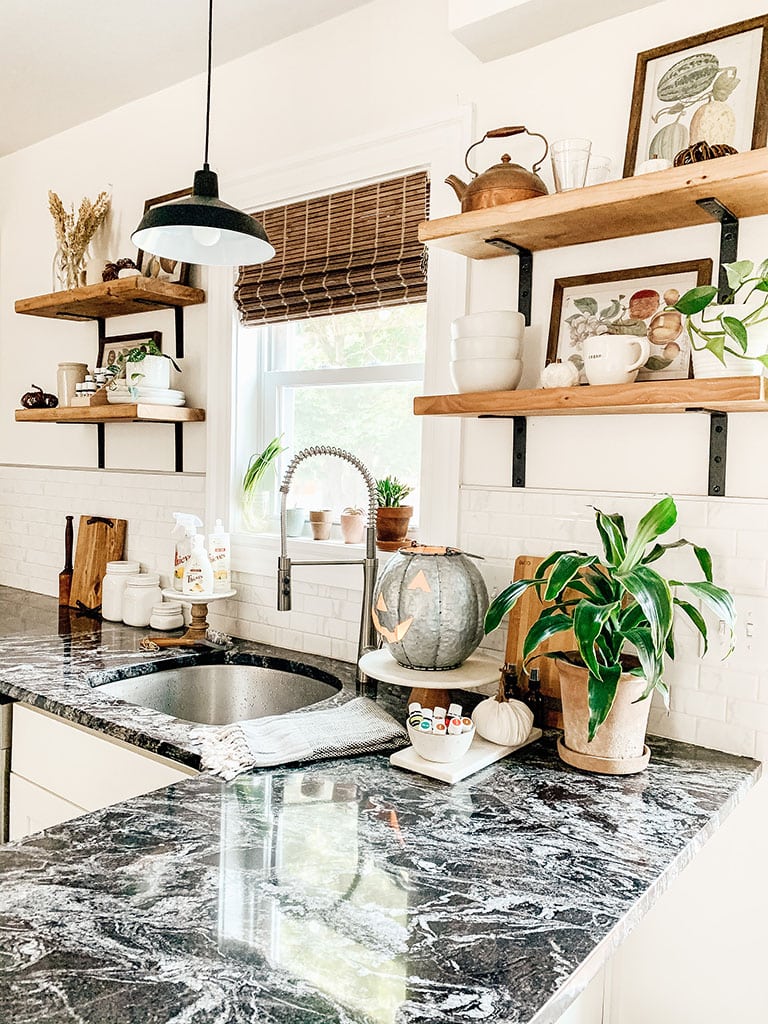 Plants on shelves