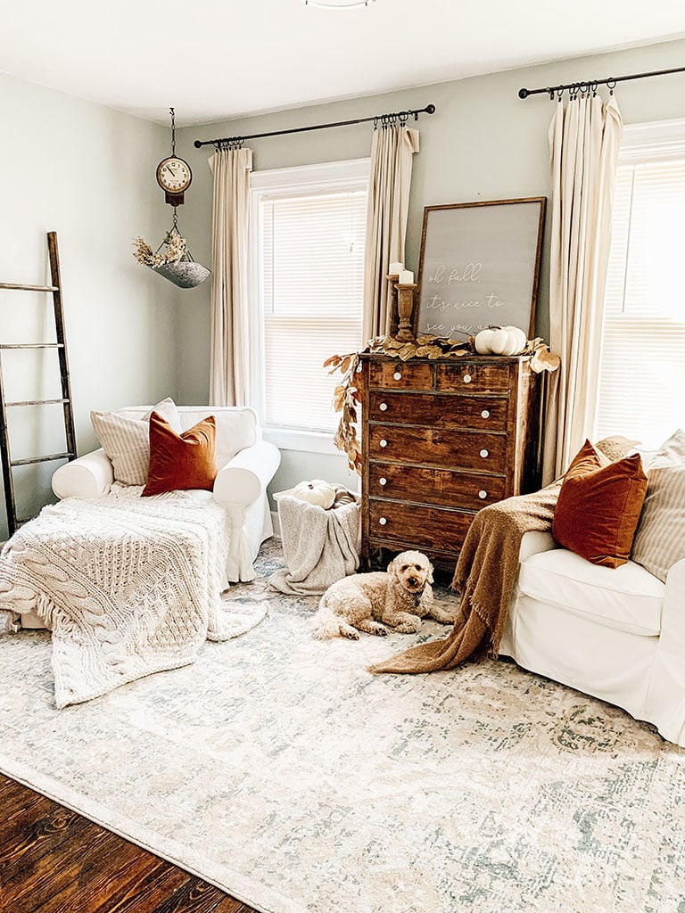 Fall Living Room Mini Golden Doodle