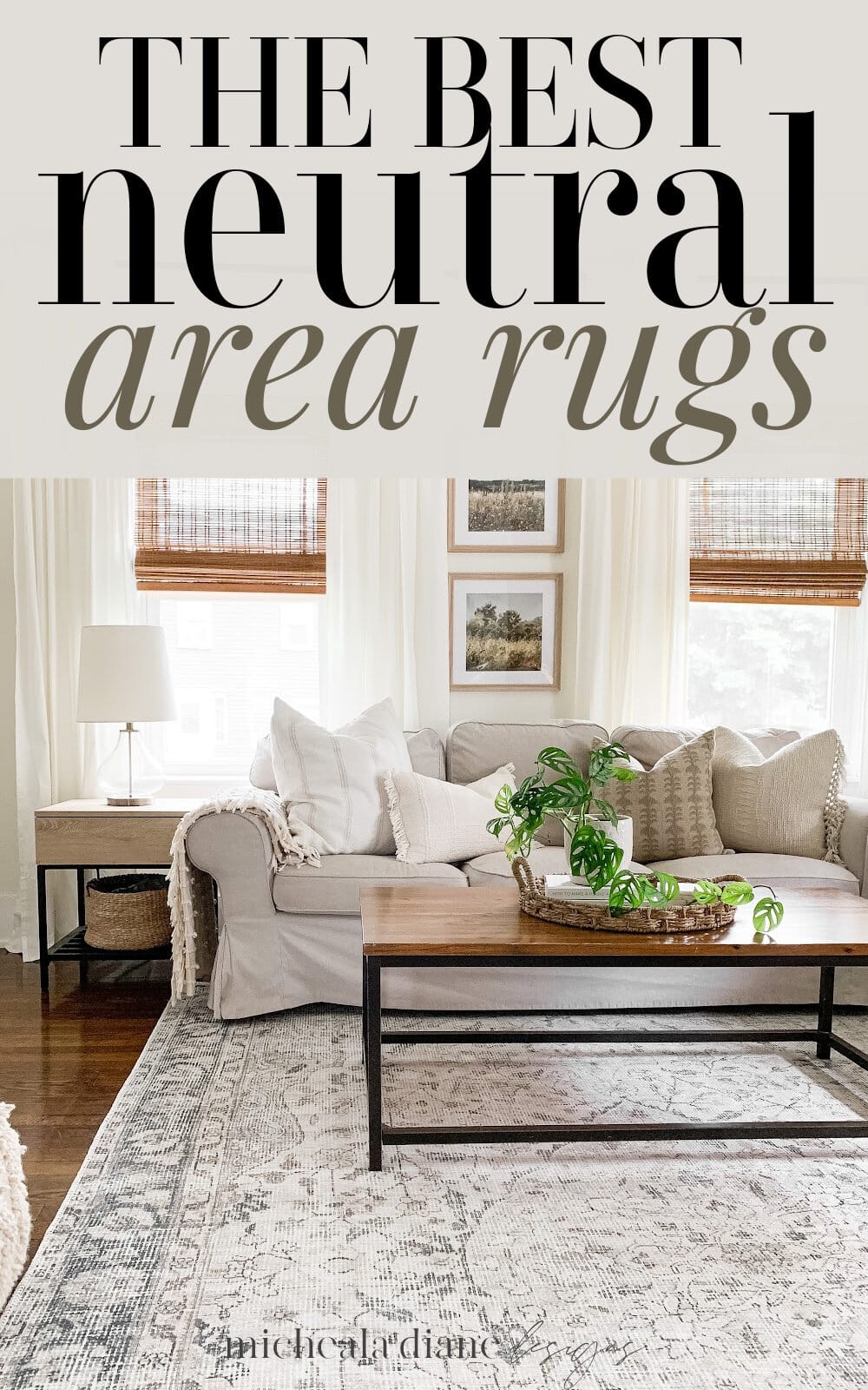 The Best Neutral Area Rugs - Micheala Diane Designs