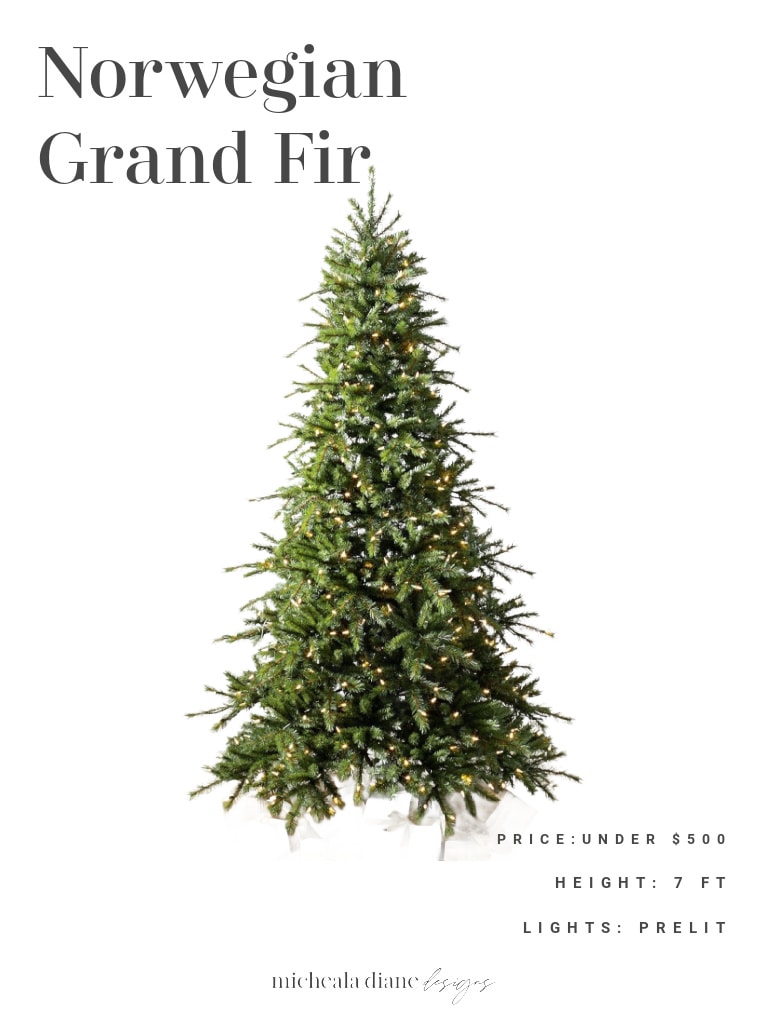 Norwegian Grand Fir