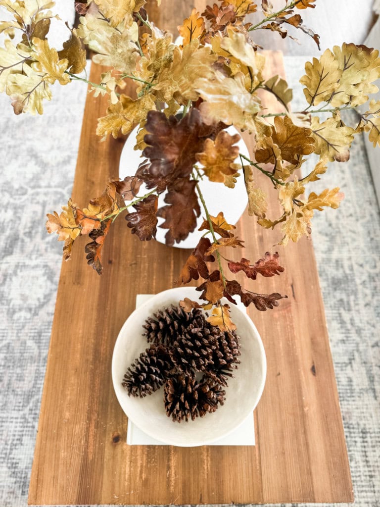 Natural Fall Elements coffee table decor