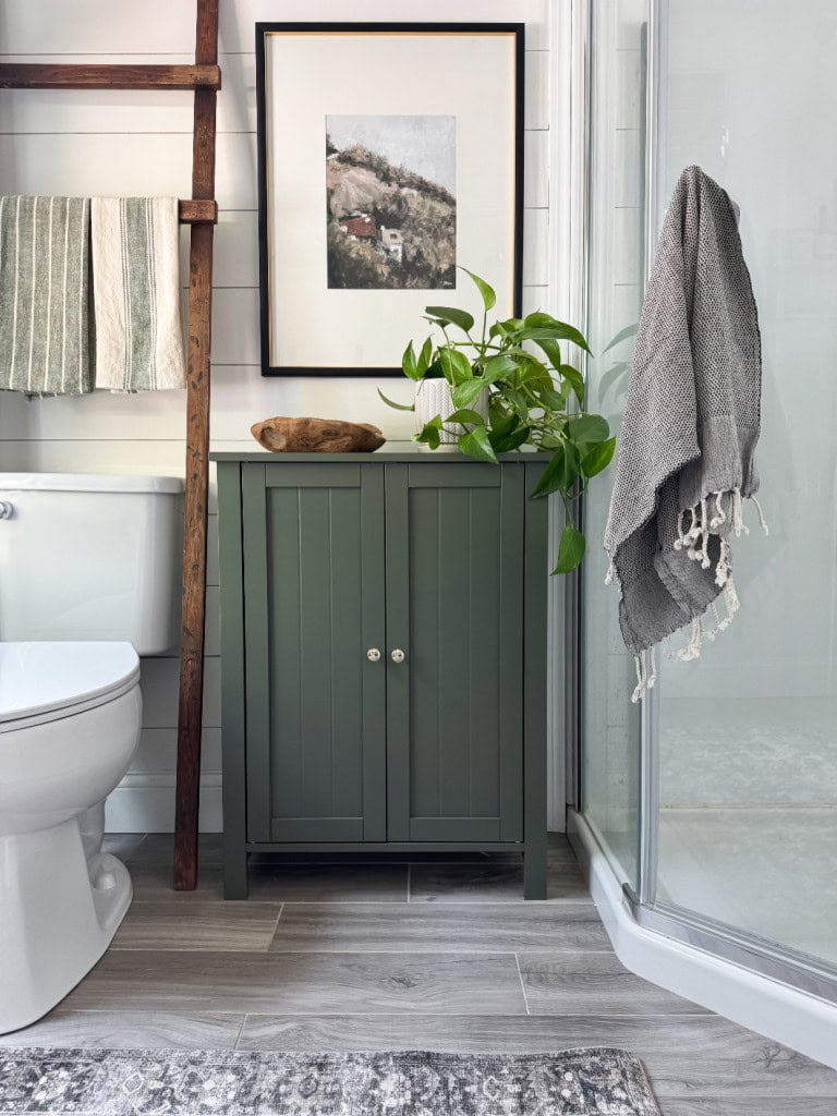 Small Bathroom Storage Cabinet in Forrest Green